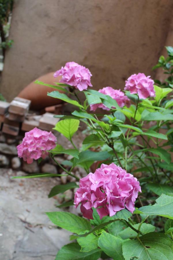 曼代洛-德尔拉里奥Il Giardino Dei Fiori公寓 外观 照片